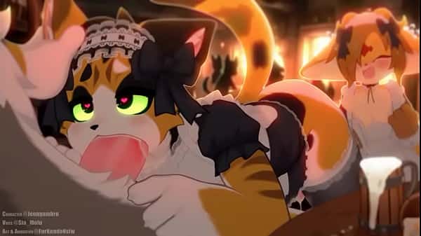 Calico cat gives out a bj to customer