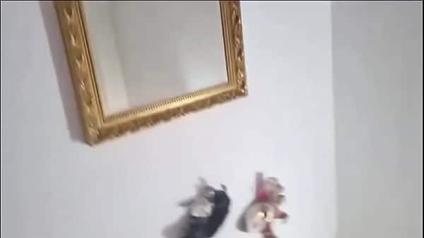 Una perla y mucha leche
