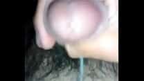 Gay chacal