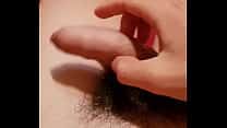 Paja gay