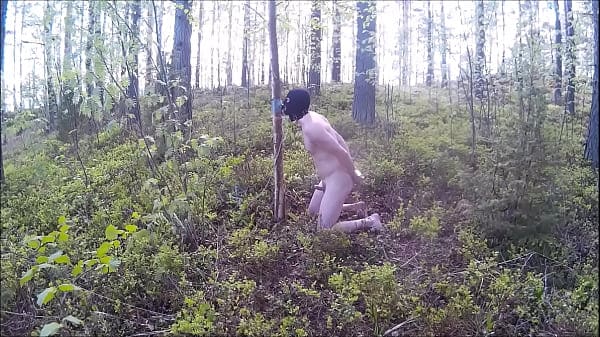 Dildo sucking in  the woods.